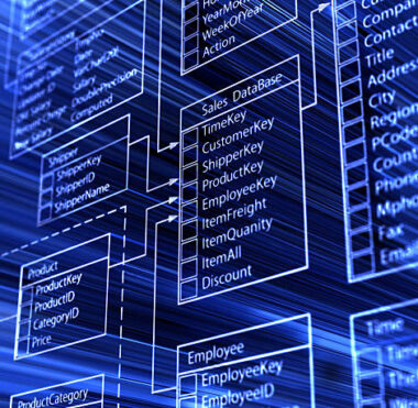 What is a Company Database